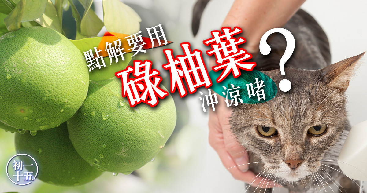 年廿九 洗碌柚